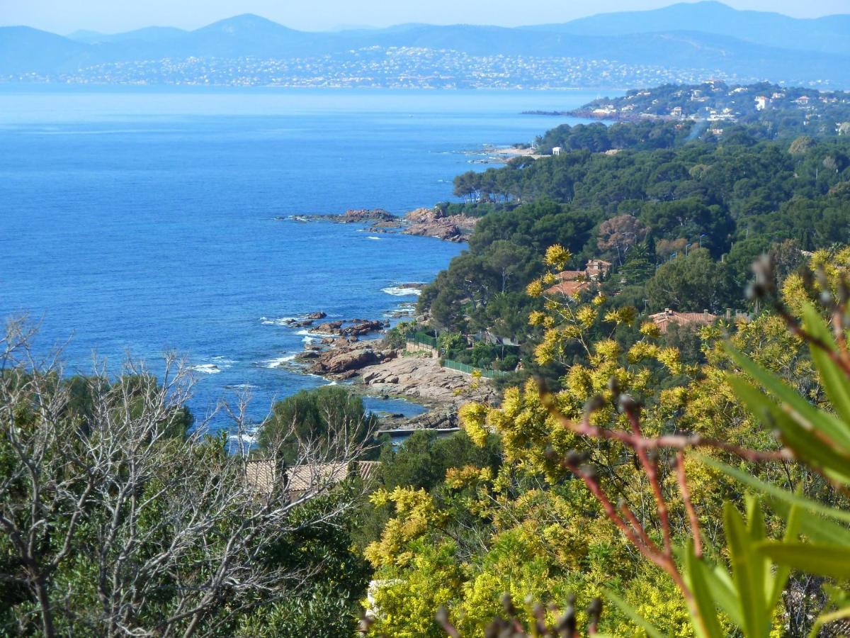 Duplex, Vue Panoramique Sur La Mediterranee, Piscine, Garage Saint-Raphaël Zewnętrze zdjęcie