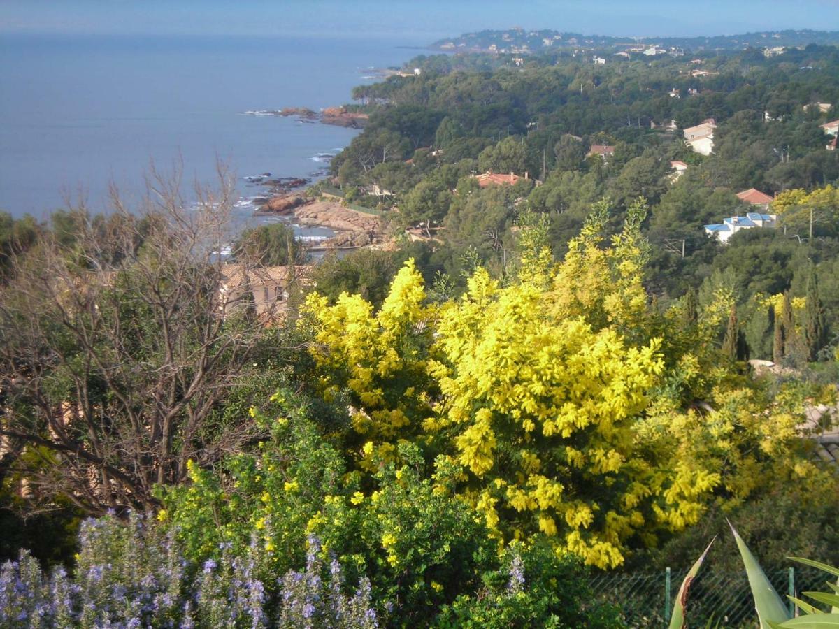 Duplex, Vue Panoramique Sur La Mediterranee, Piscine, Garage Saint-Raphaël Zewnętrze zdjęcie